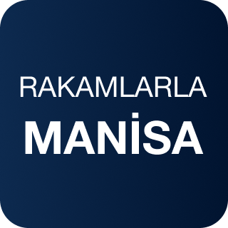 Rakamlarla Manisa